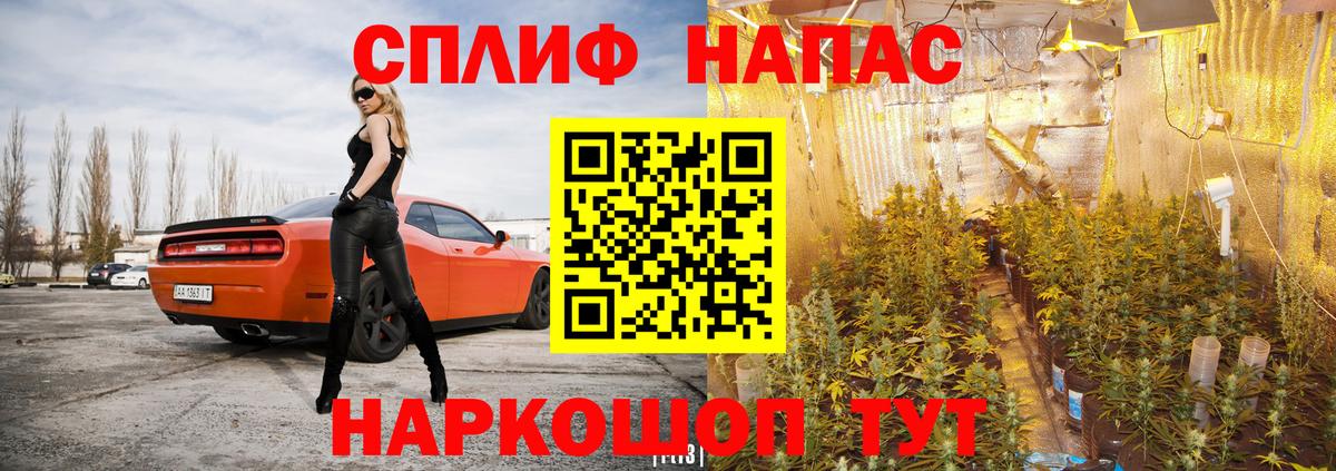 Канабис White Widow  Марихуана марихуана  Кызыл  Вход с VPN  Каннабис семена 